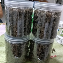 产区猫爪草直销，大量供货，欢迎老板选购