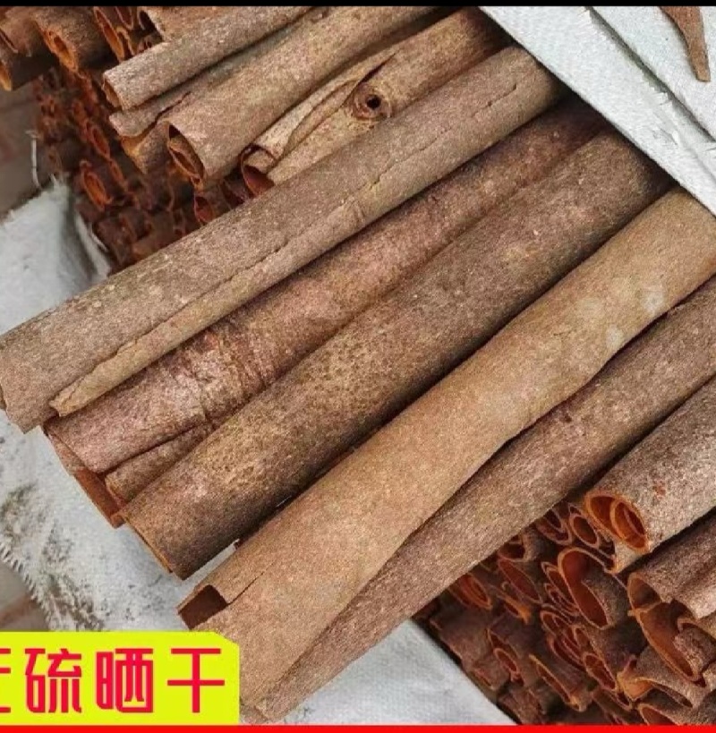 【优选】广西桂皮中通大通桂碎水洗厚肉桂皮药食同源
