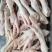 三黄鸡白条鸡
