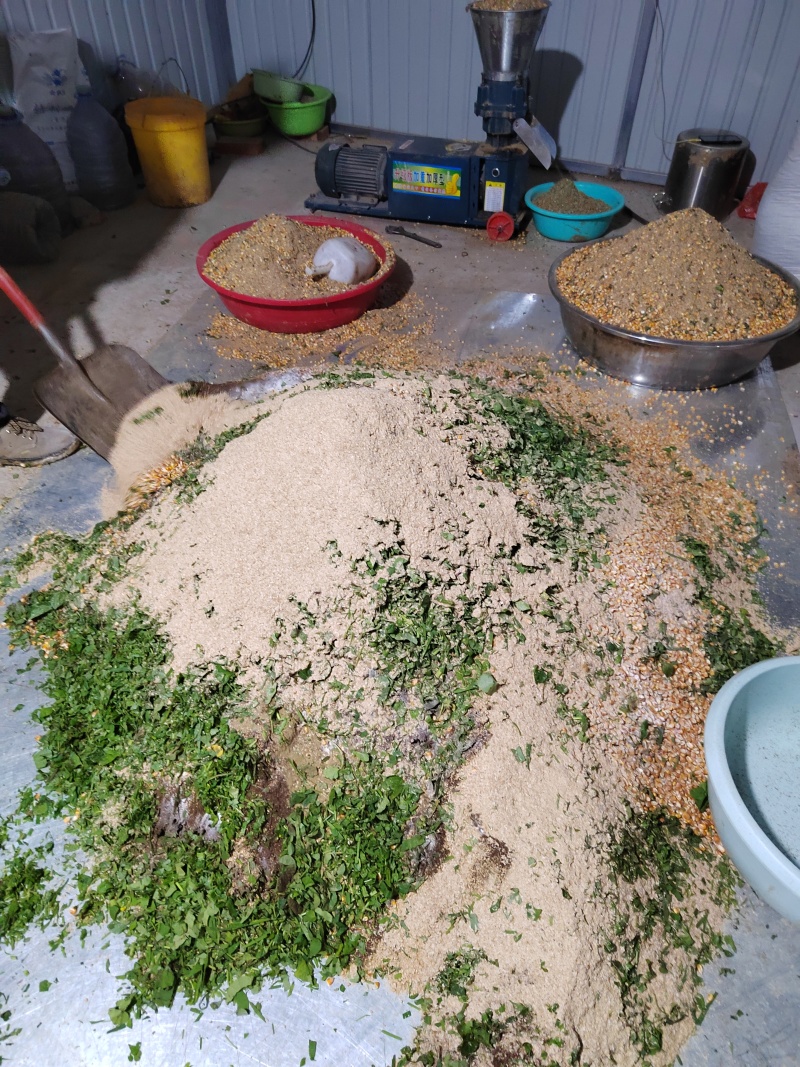 肉鸡，散养走地鸡，五谷杂粮喂养，量大从优，欢迎老板咨询