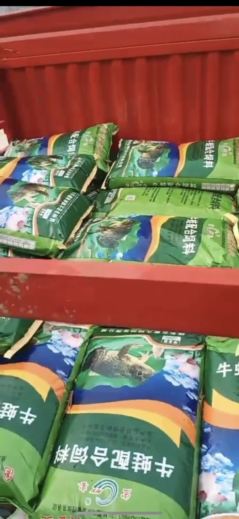 厂家直销40蛋白牛蛙饲料