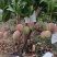 寻电商合作平台