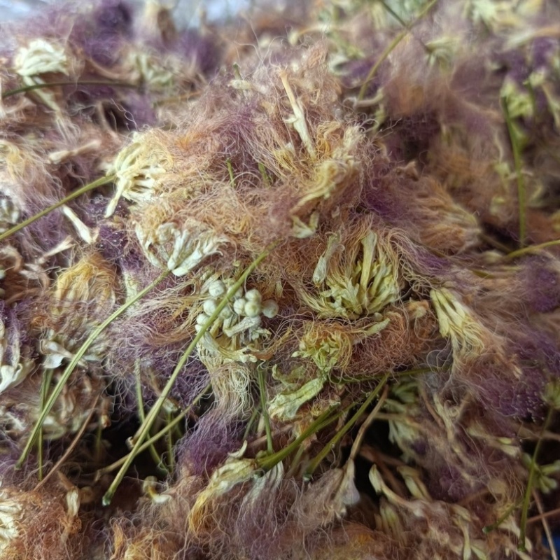 合欢花新货野生绒花正品干花可泡水农家自然晾干