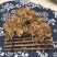 合欢花新货野生绒花正品干花可泡水农家自然晾干