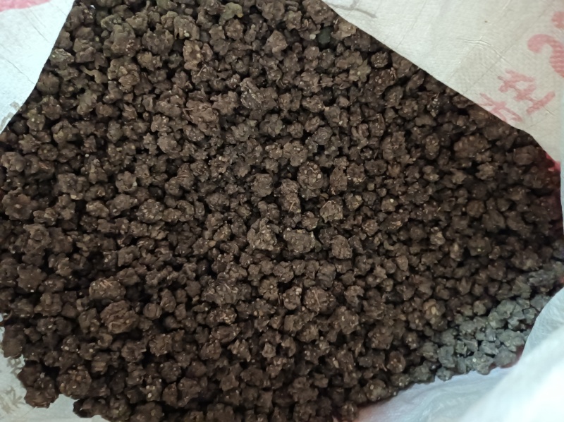 当季野生精品猫爪草