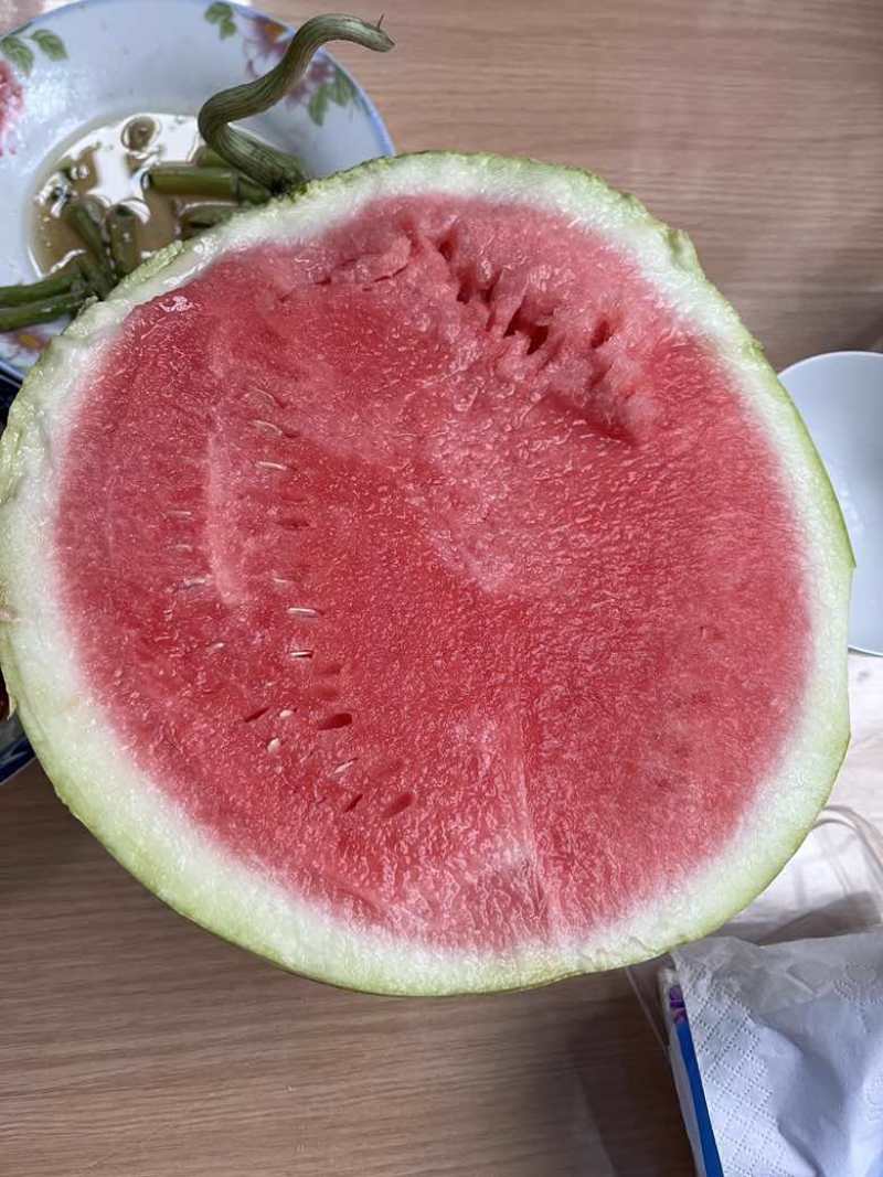 浙江绍兴美都无籽西瓜产地直发包红包甜13+皮薄汁多