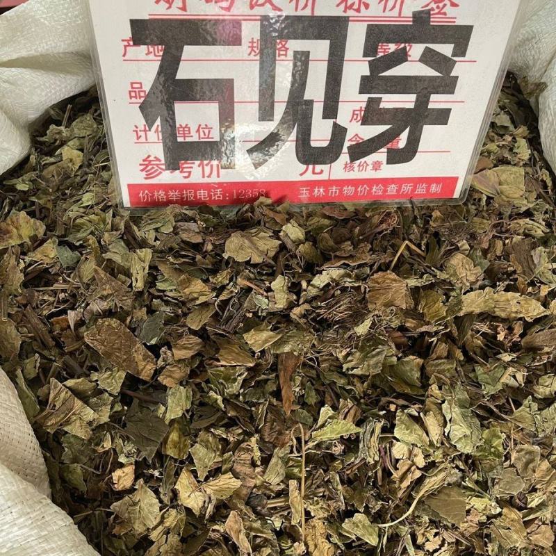 石见穿中药材新货石打穿石见川紫参月下红