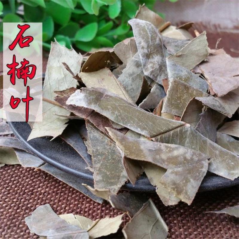中药材石楠叶石南叶石楠藤叶