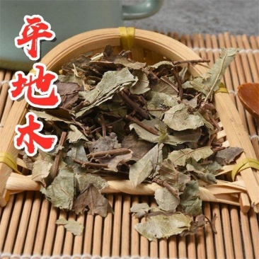 中药材平地木矮地茶