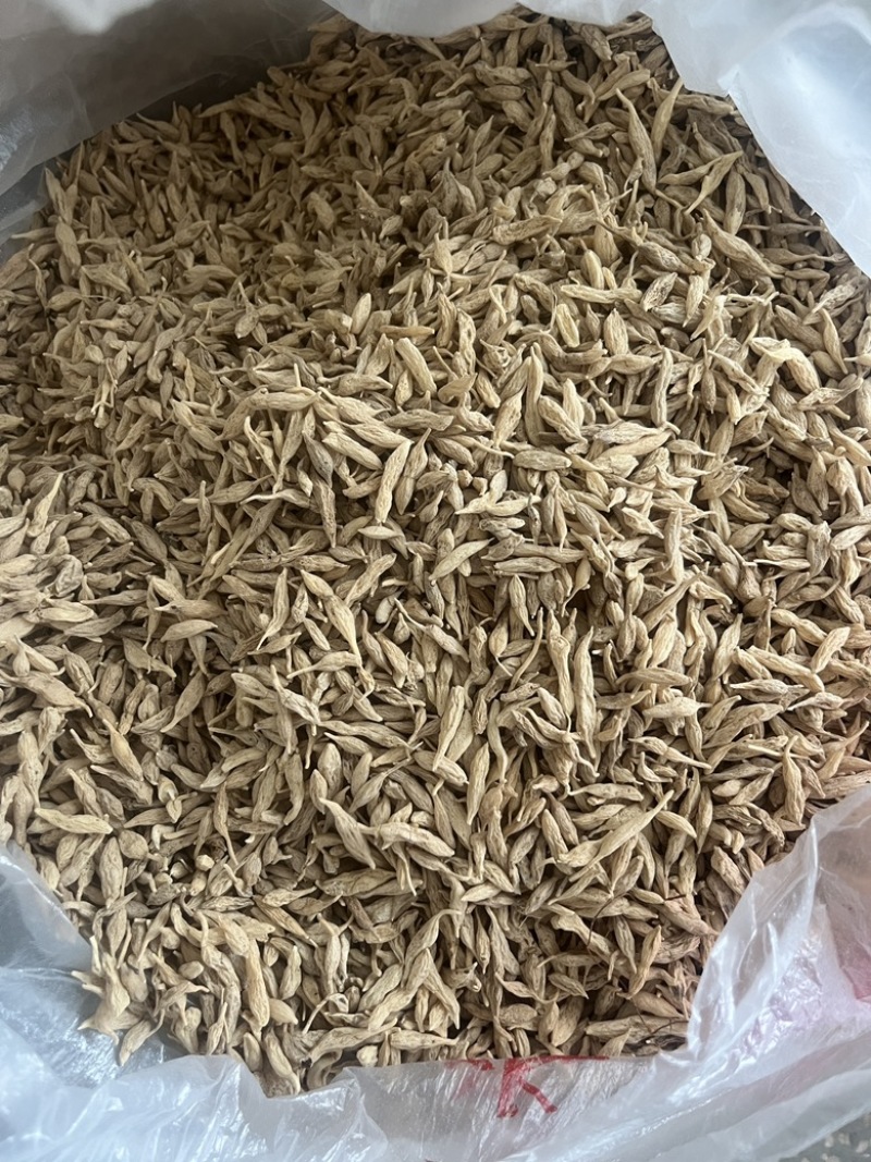 麦冬湖北野生麦冬价格便宜质量好欢迎来电
