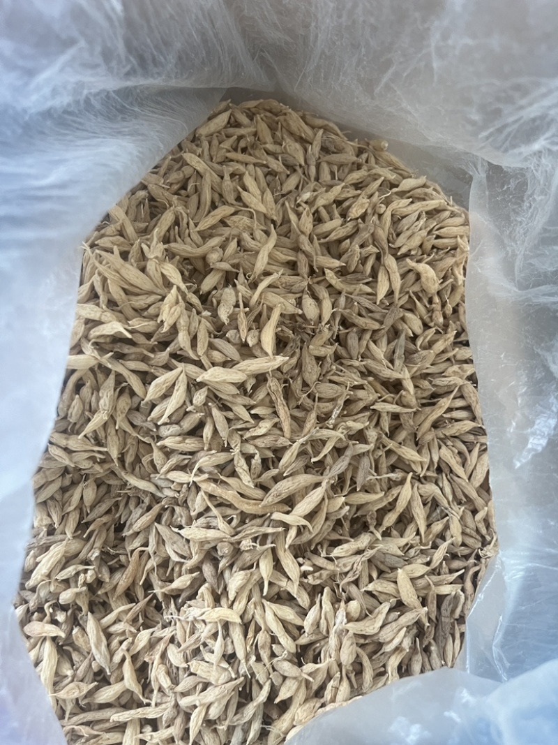 麦冬湖北野生麦冬价格便宜质量好欢迎来电