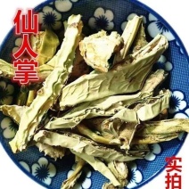 中药材仙人掌干货仙人掌