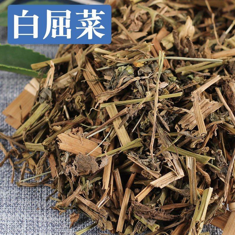 白屈菜中药材山黄连土黄连牛金花八步紧