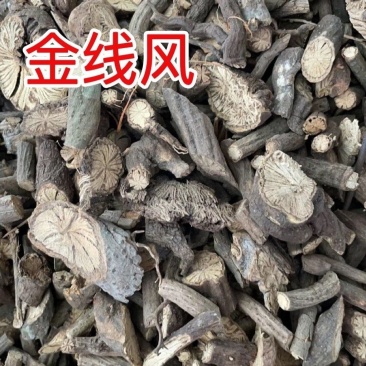 中药材金线风、百解藤、凉粉藤