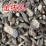 中药材金线风、百解藤、凉粉藤