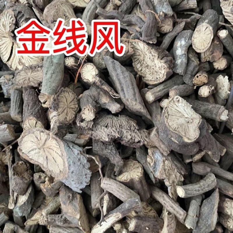 中药材金线风、百解藤、凉粉藤