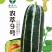 农翠9号甜瓜种子，商品性好，易坐果，细脆多汁