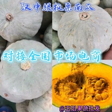 银栗南瓜，口感干面，糯甜产地一手货源量大从优老少皆宜
