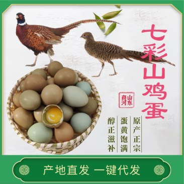 精品野鸡蛋七彩山鸡蛋大量供应品质保证欢迎咨询