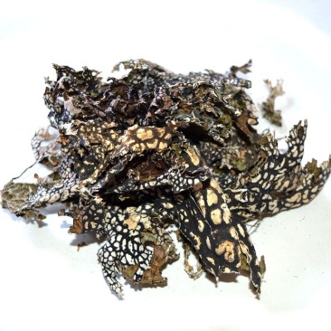 中药材老龙皮石花网肺衣石龙皮石龙衣