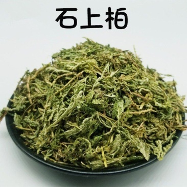 中药材地柏枝岩柏石上柏
