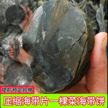 海带压缩海带海带干海带片海带饼干海带挂菜海带散菜海带