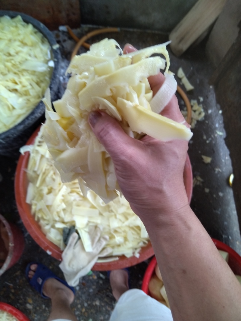麻竹笋鲜笋片