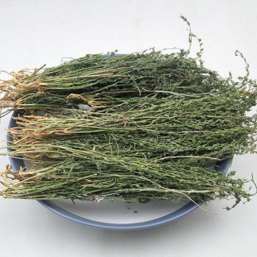中药材百蕊草百乳草小草细须草青龙草