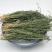 中药材百蕊草百乳草小草细须草青龙草
