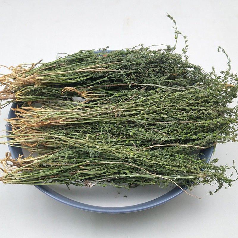 中药材百蕊草百乳草小草细须草青龙草