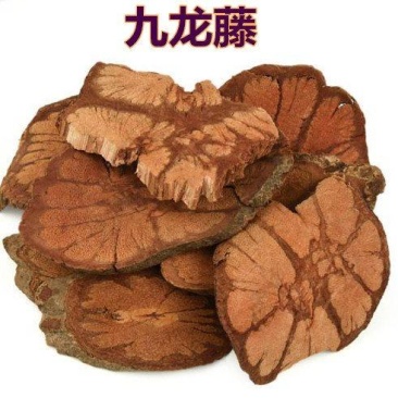 中药材九龙藤过岗龙龙须藤九龙根入骨丹过江龙