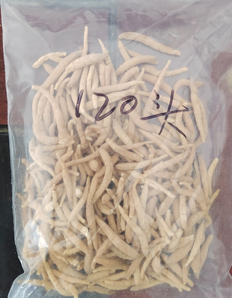 贵州精选太子参孩儿参煲汤料产地直批欢迎采购