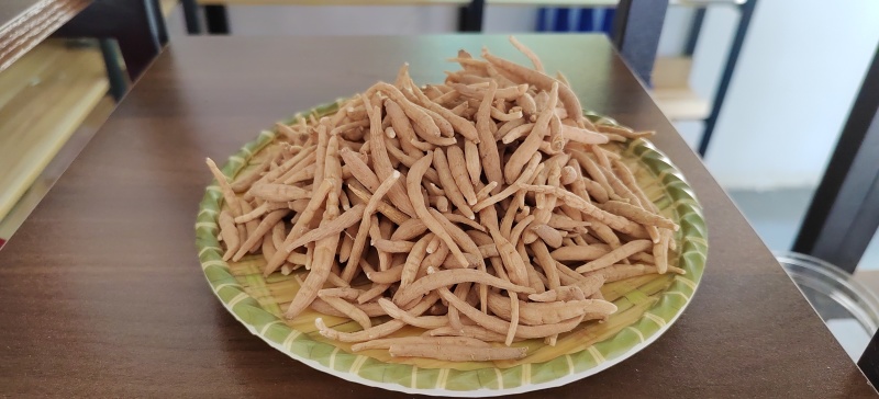 贵州精选太子参孩儿参煲汤料产地直批欢迎采购