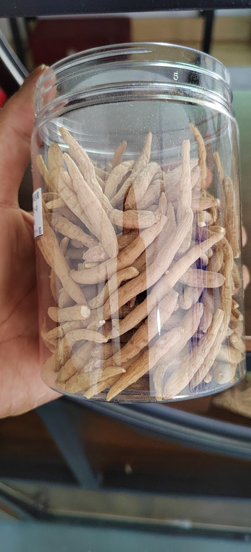 贵州精选太子参孩儿参煲汤料产地直批欢迎采购