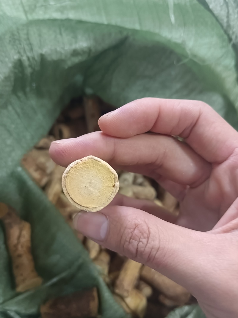 野生五指毛桃中大节