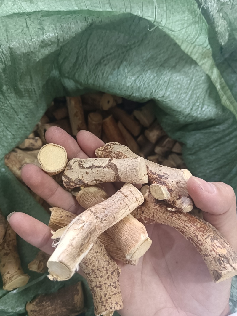 野生五指毛桃中大节