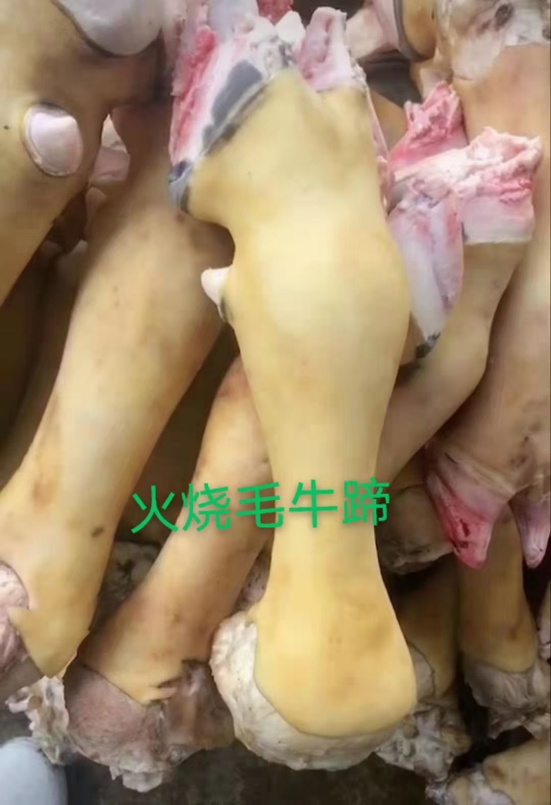 牛蹄大小规格都有一件也是批发价欢迎新老客户采购