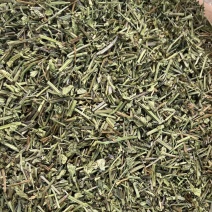 半枝莲片子头茬全青半枝莲片子产地货源