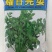 耀日香菜种子硕源铁杆大油叶香菜耐热耐寒越夏香菜四季蔬菜种