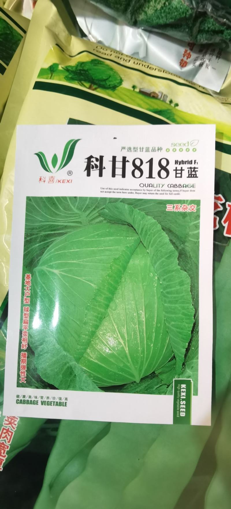 甘蓝种子美味翠叶莲白好吃型甜脆甘蓝品种耐热高抗病