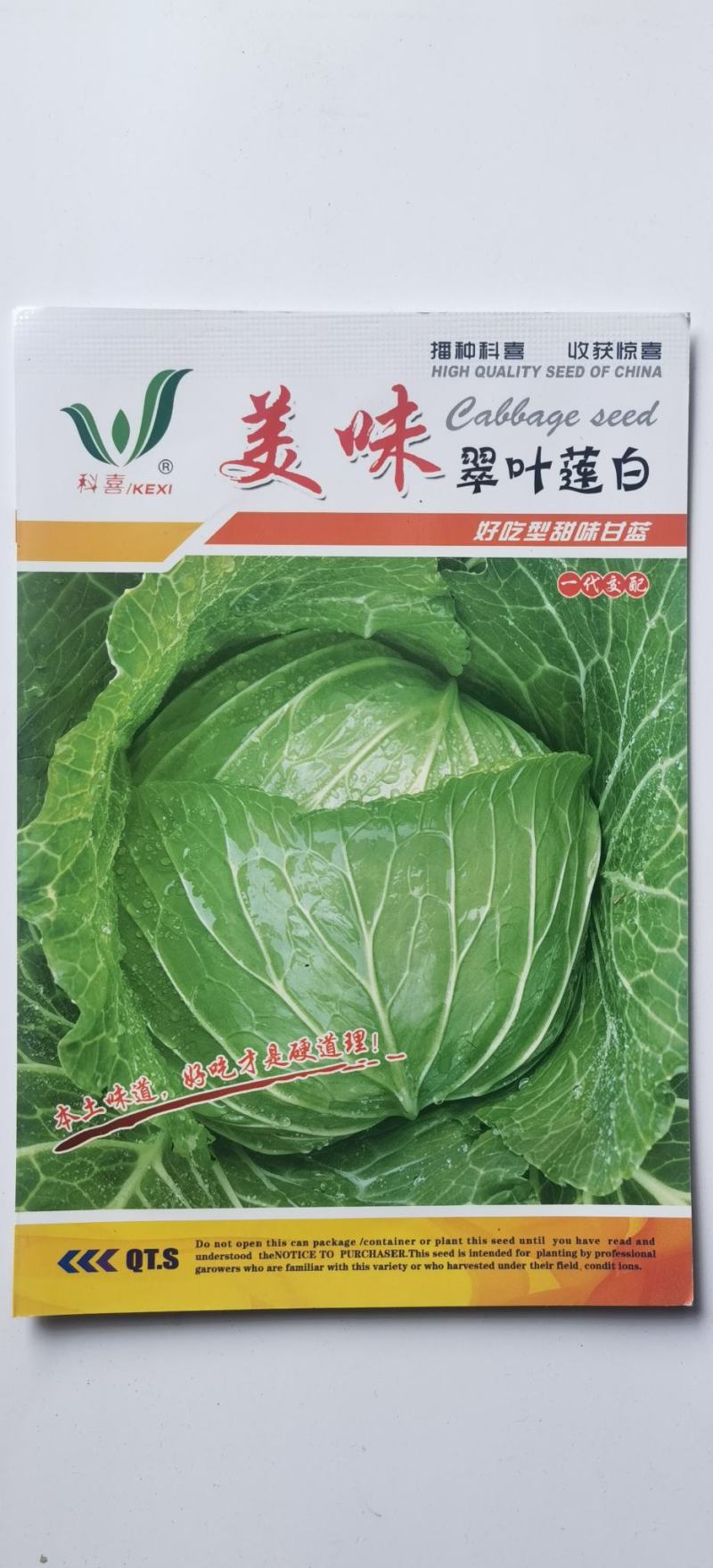 甘蓝种子美味翠叶莲白好吃型甜脆甘蓝品种耐热高抗病
