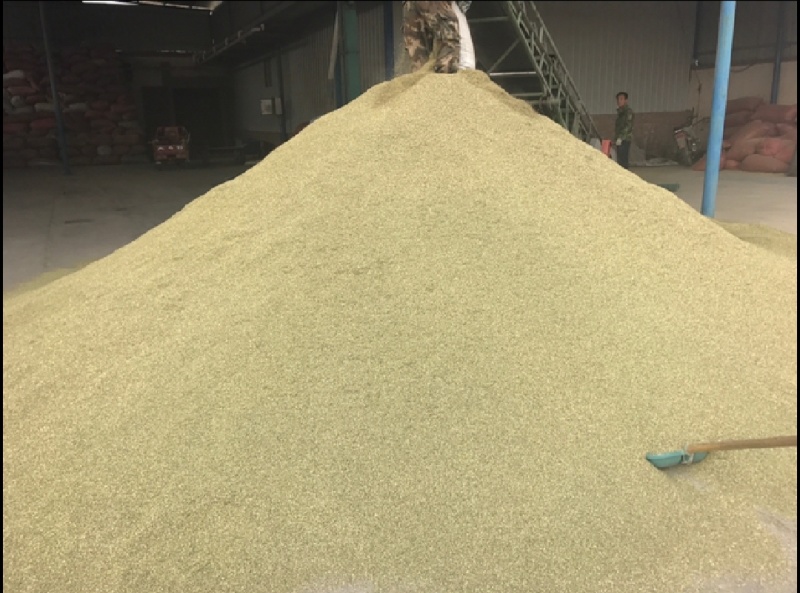 【特级】特绿小茴香可做香料可做种优质甘肃产地直供