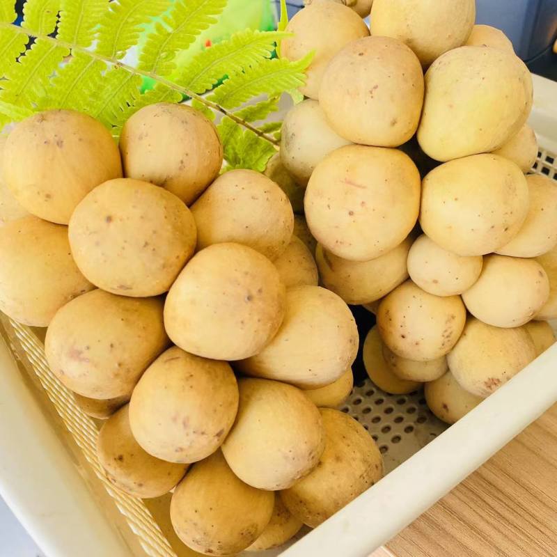 泰国直达龙宫果