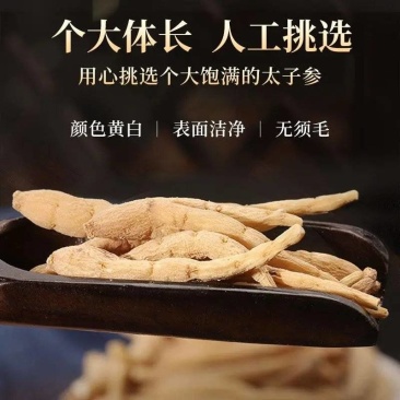 贵州太子参/孩儿参/批发兼零欢迎洽谈产地集采