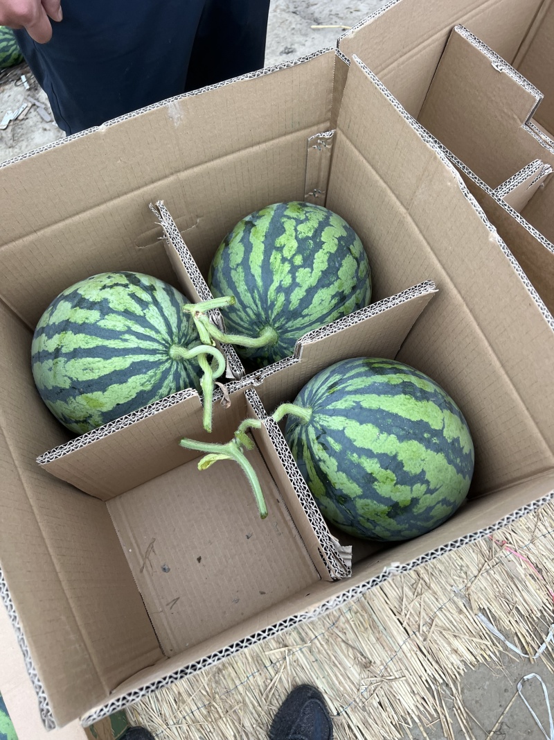 美都无籽西瓜，味道鲜美，新鲜采摘，可视频看货欢迎大家来电