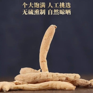 贵州太子参根须太子参尾子熬膏药打粉入药用品