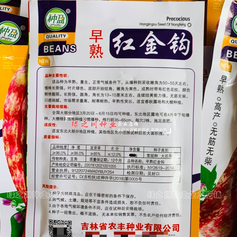 东北早熟红金钩架豆种子黄金钩油豆角种子无筋无纤维面鼓豆种