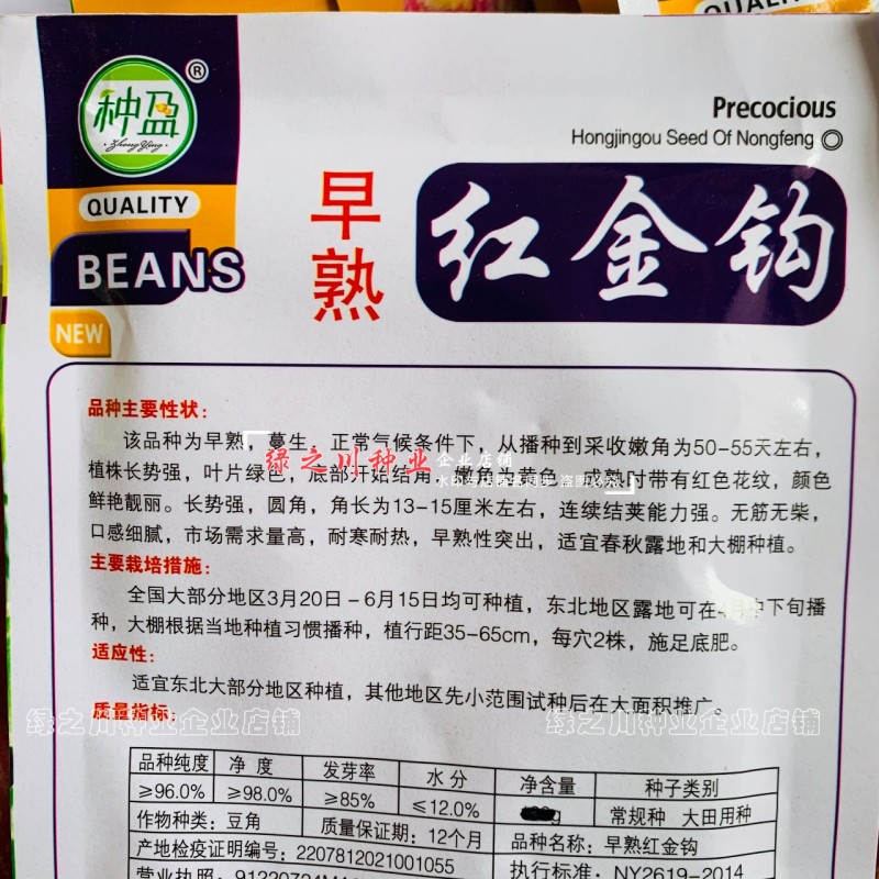 东北早熟红金钩架豆种子黄金钩油豆角种子无筋无纤维面鼓豆种