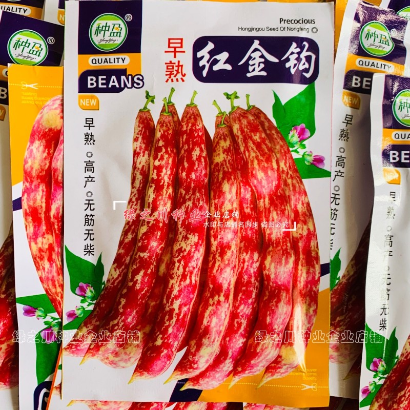 东北早熟红金钩架豆种子黄金钩油豆角种子无筋无纤维面鼓豆种