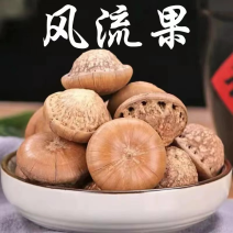 广西风流果龟头子泡酒精选无硫中药材泡酒泡水喝